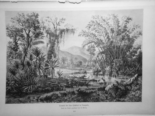Scenerie bei San Cristobal in Venezuela, by A. Göring  - 1884 Original