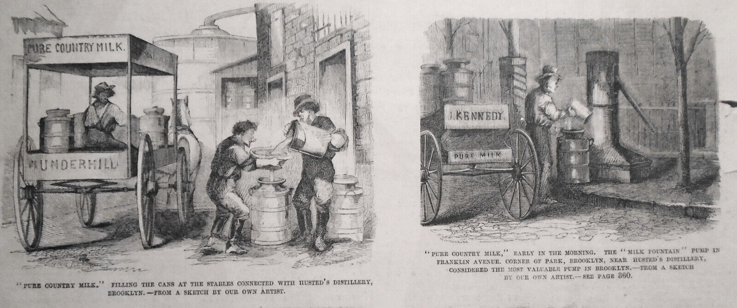 Exposure Of The Milk Trade - Husted's Distilleries And Cow Stables - 1858