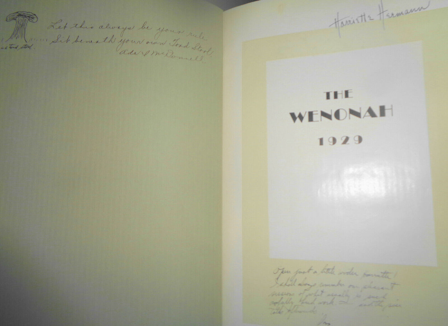 THE WENONAH 1929 - yearbook of Winona State Teachers College