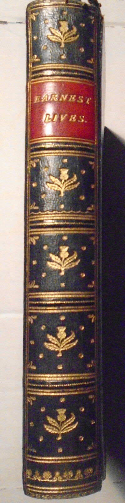 Earnest lives : biographies of remarkable men & women. [1898?] - Robert Cochrane