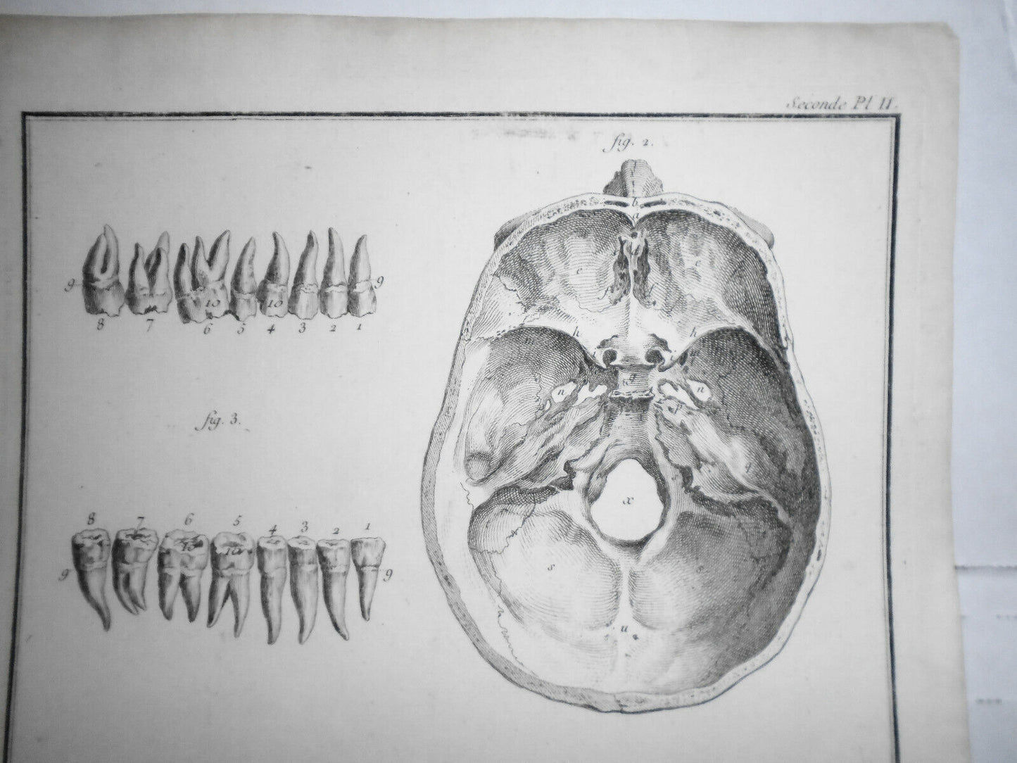 1762 - Anatomie : Seconde Pl II. Prevost fecit.  - Diderot Encyclopedie