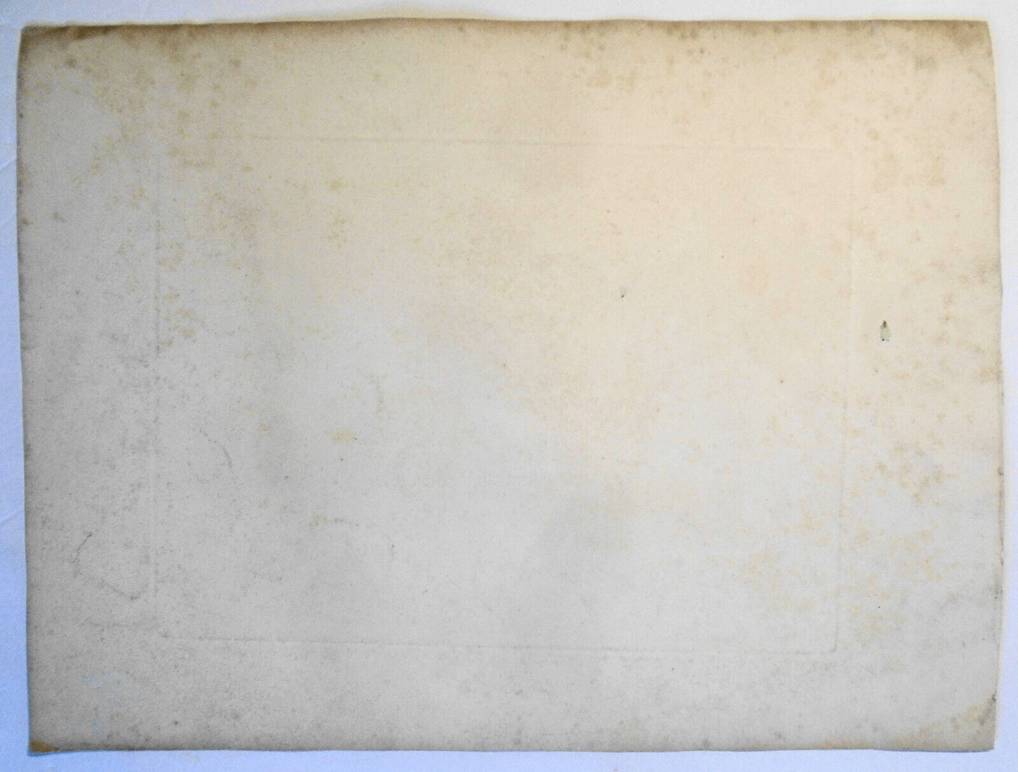 1809 Tea Tree, by William Daniell