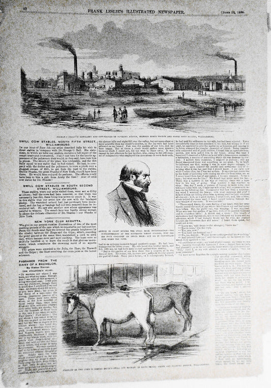 Swill Cow Stables, North Fifth Street Williamsburg - Frank Leslie's June 19,1858