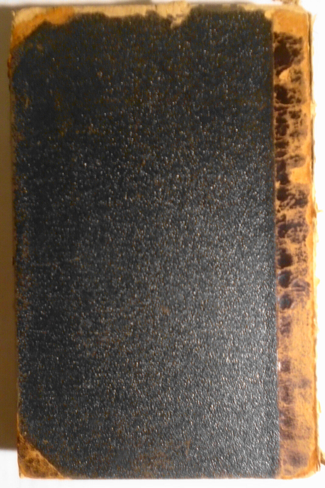 Dyret fra afgrunden i Johannes Aabenbaring, by C. Engelskjon. 1894 First Edition