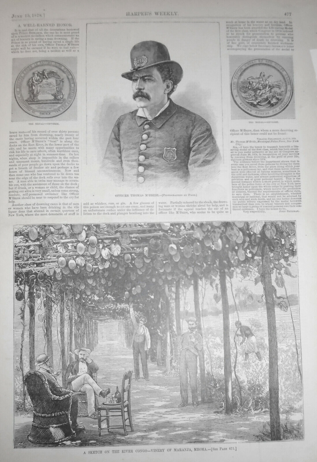 A Sketch on the River Congo - Vinery of Maranja, Mboma - Harper's Weekly 1878