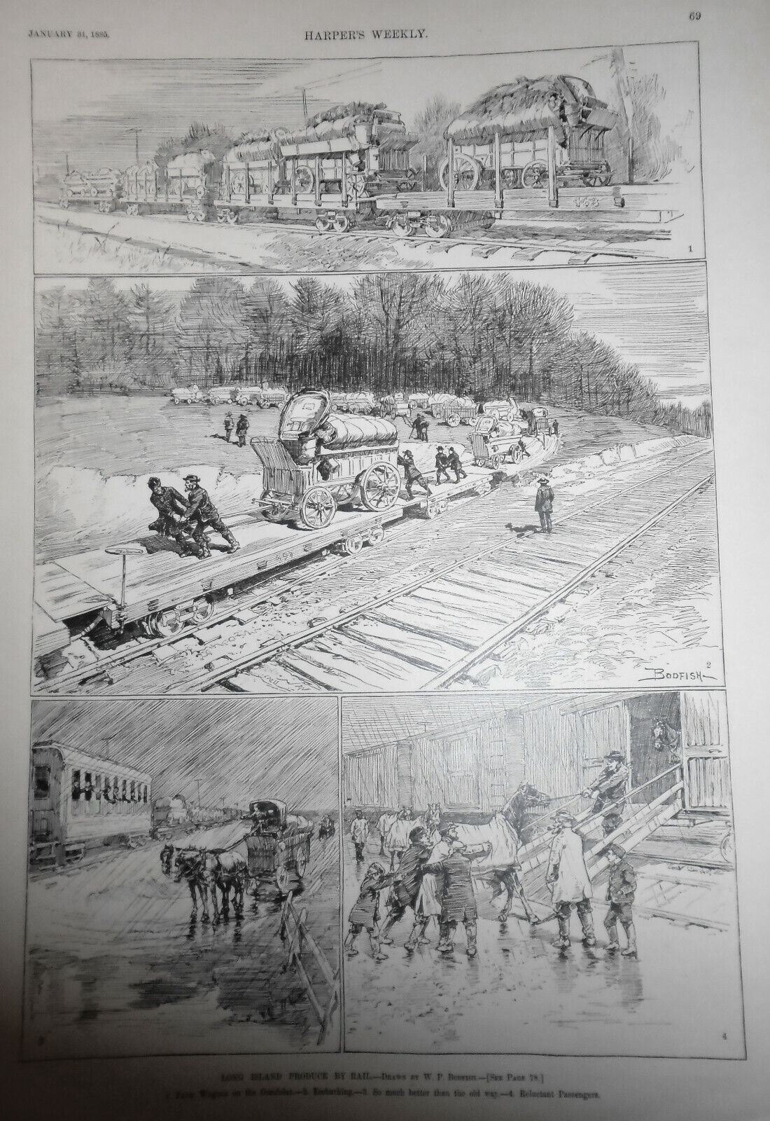 Long Island Produce By Rail - Drawn By W P Bodfish -- Harper's Weekly 1885