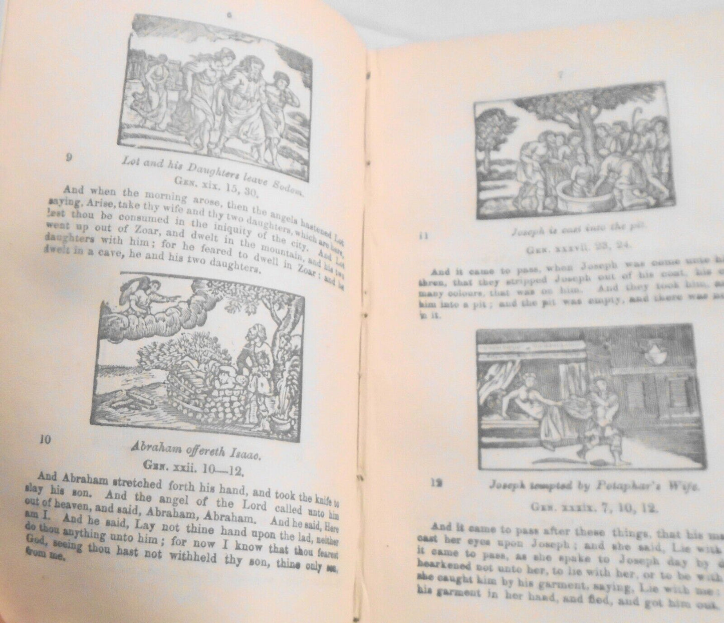 [Chapbook] The New Pictorial Bible. [1847].