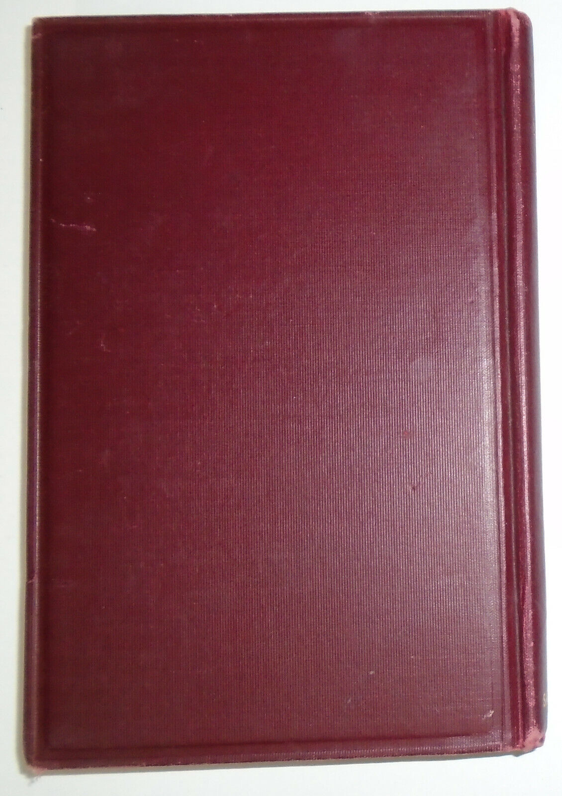 Hygiene And Sanitation - The Essentials Of Modern Health Care 1928 by J Williams