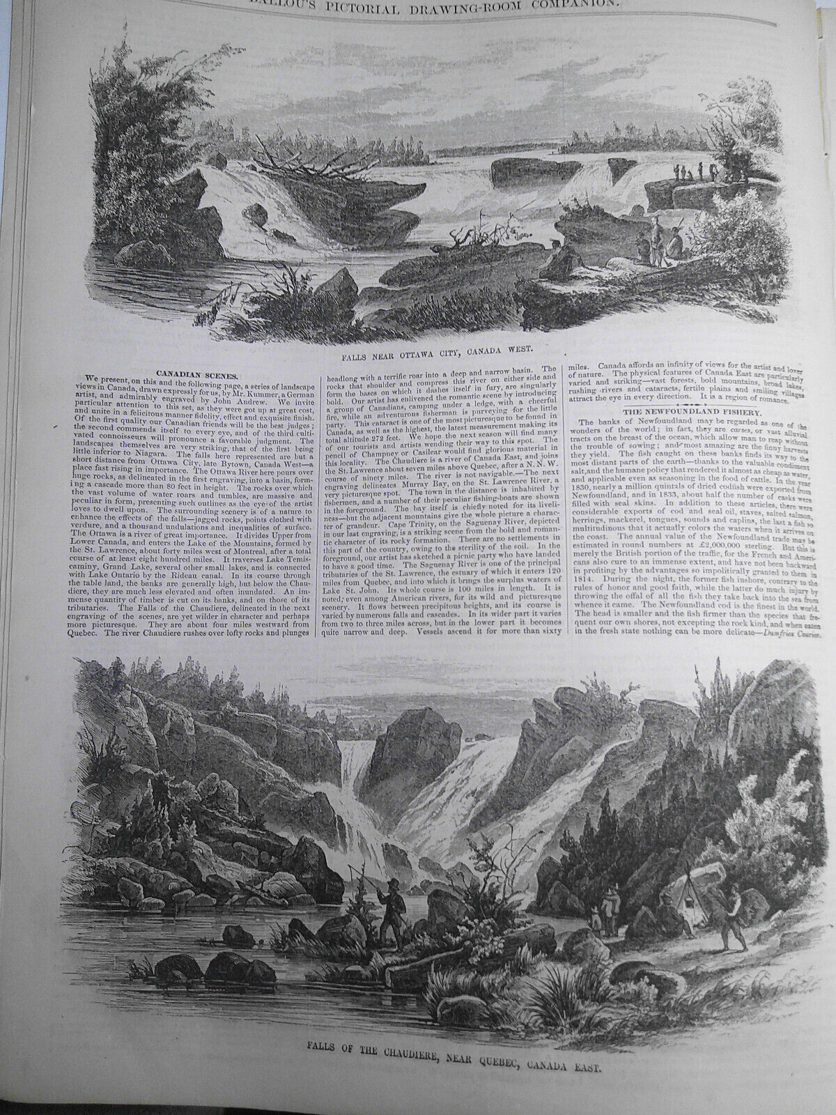 Ballou's Pictorial, February 14, 1857. Rare and Curious Birds; Tennessee; etc