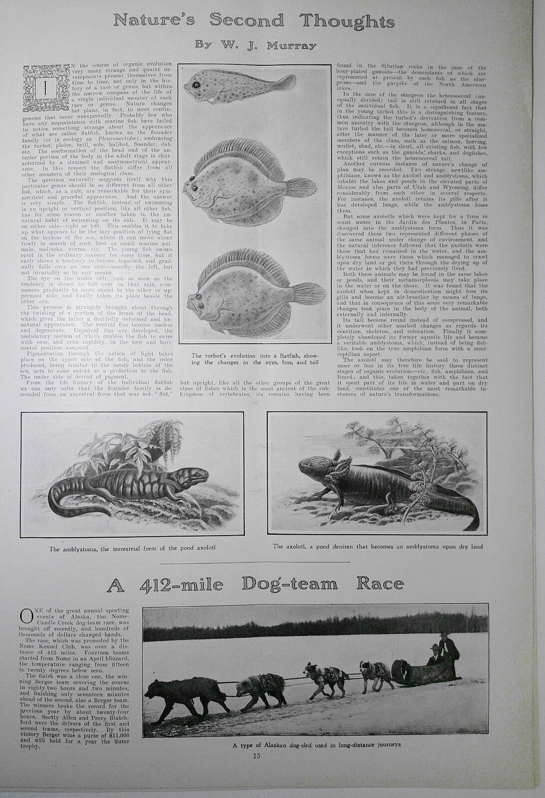 Harper's Weekly April 17,  1909.  The Wright Brothers fly for King Edward; etc