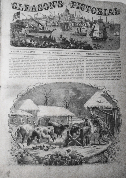 Gleason's Pictorial February 4, 1854 - Panoramic Represention of Crystal Palace
