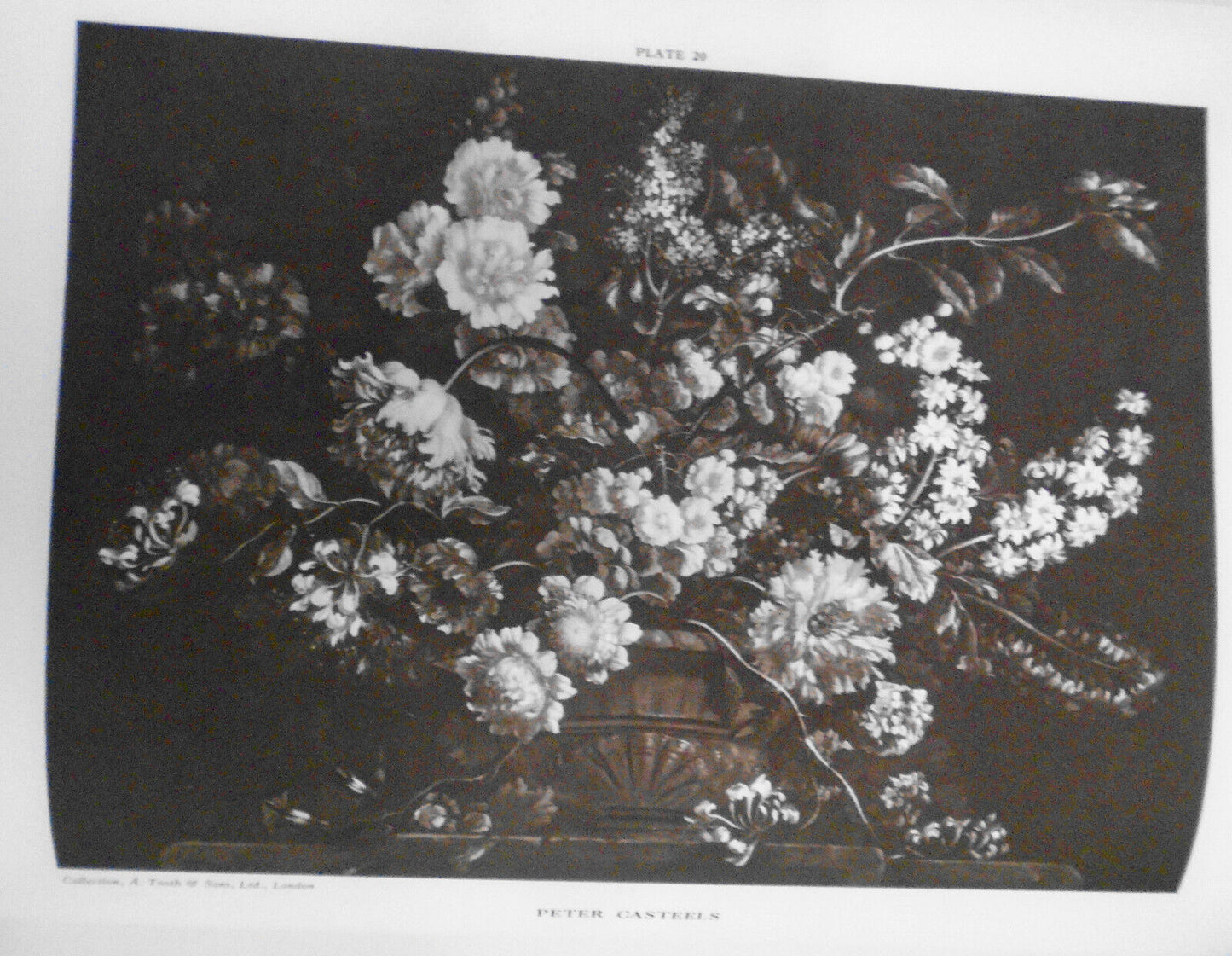 1928 Dutch & Flemish Fruit & Flower Painters of  17th & 18th Centuries - 1st ed