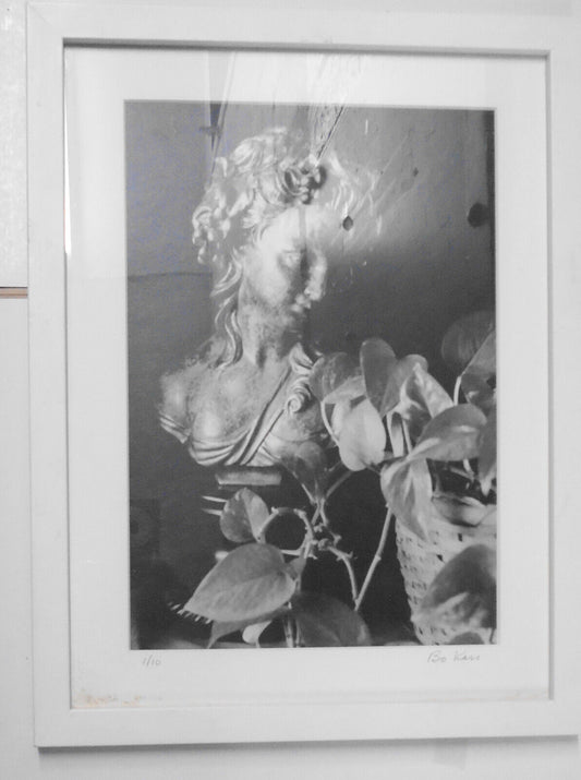 Bo Kass: Bust of Girl and Ivy - SIGNED Silver Gelatin Limited  Edition # 1/10
