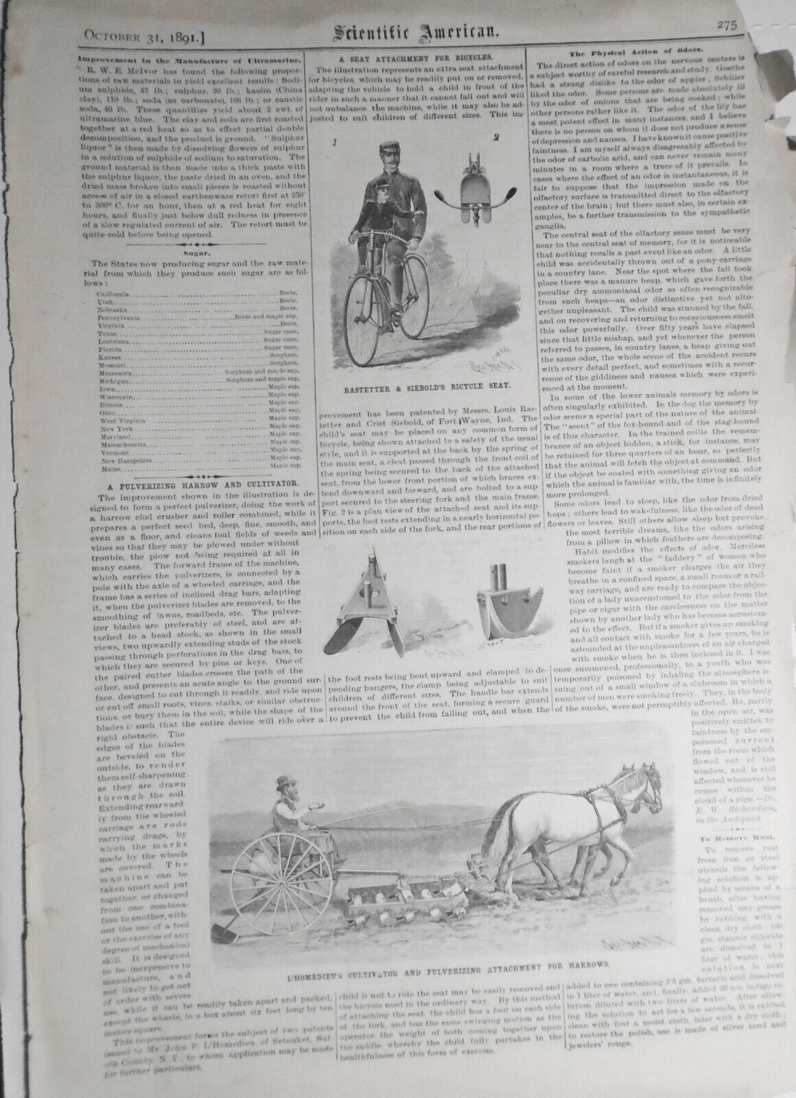 A Seat Attachment For Bicycles / Rastetter & Siebold's Bicycle Seat - 1891