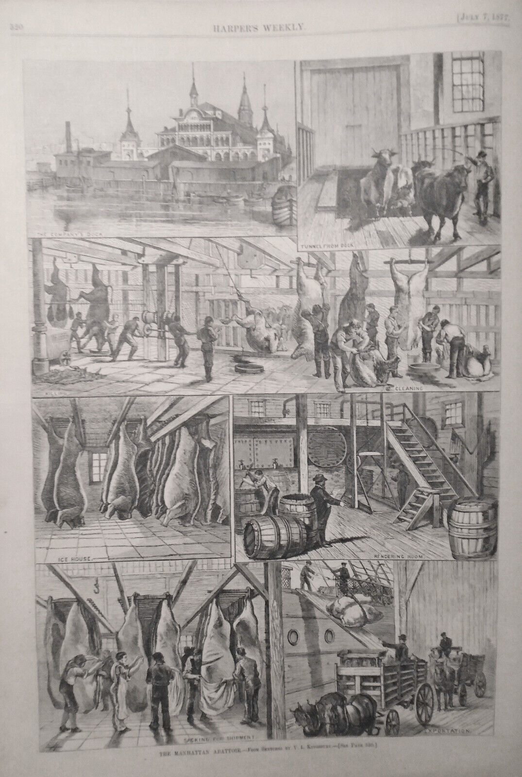 Harper's Weekly July 7, 1877 - Manhattan Abattoir; Foully Murdered; Russia Turk