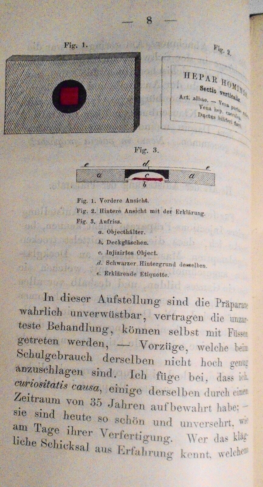 1873 [Medicine] Catalog mikroskopischer Injections-Präparate... by  Joseph Hyrtl