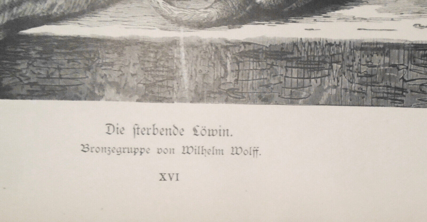 1882 Die Sterbende Lowin - Bronzegruppe von Wilhelm Wolff
