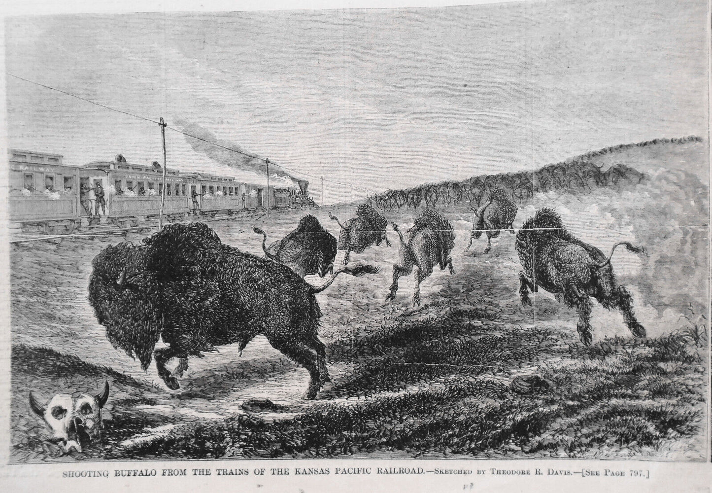 St. Thomas, West Indies / Shooting Buffalo & Deer - Harper's Weekly Dec 14 1867