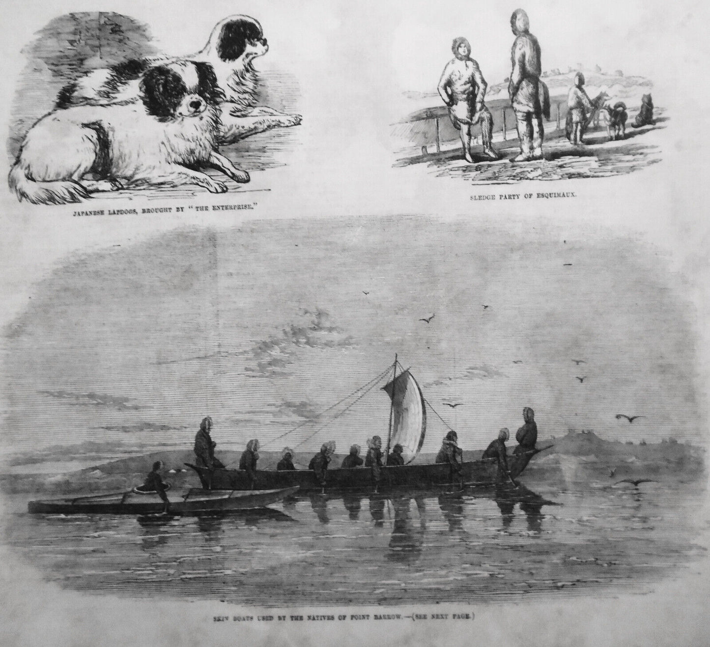 Captain Collinson's Arctic Expedition - llustrated London News July 7, 1855