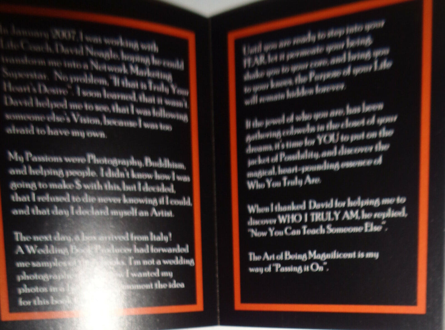 The Art Of Being Magnificent, by Diane Ward. 2007