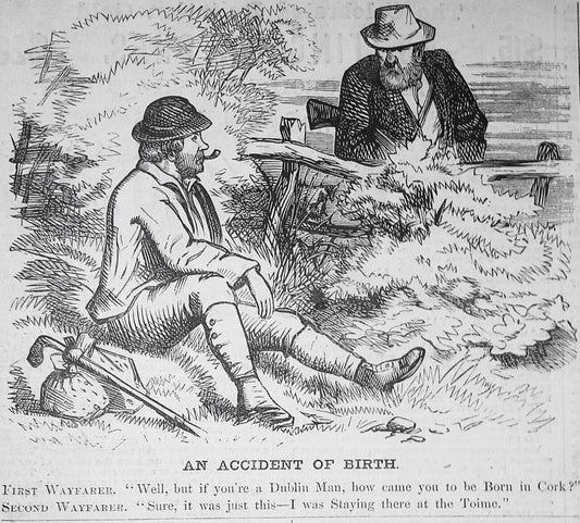 "An Accident of Birth" .  Harper's Weekly, January 30, 1869. Original cartoon