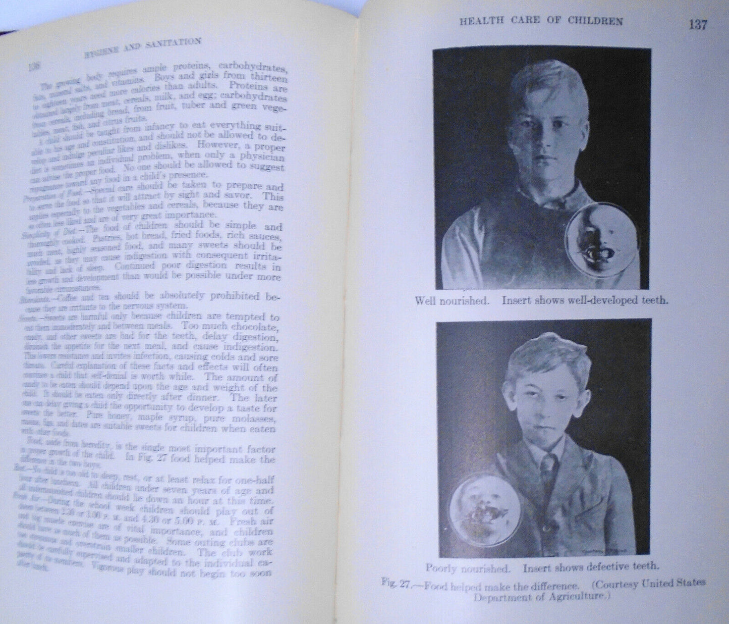 Hygiene And Sanitation - The Essentials Of Modern Health Care 1928 by J Williams