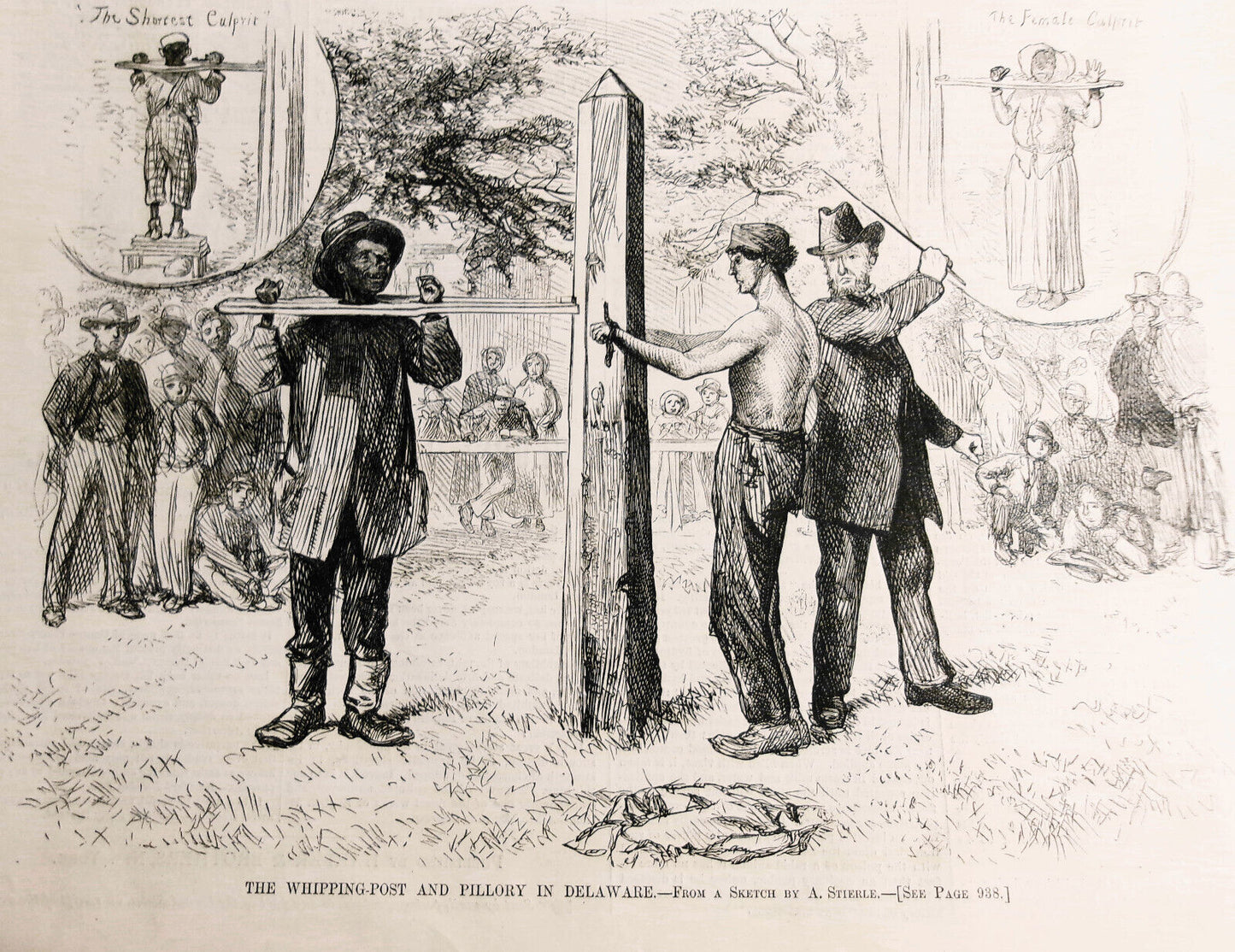 The whipping-post and pillory in Delaware - Harper's Weekly 1876 original print