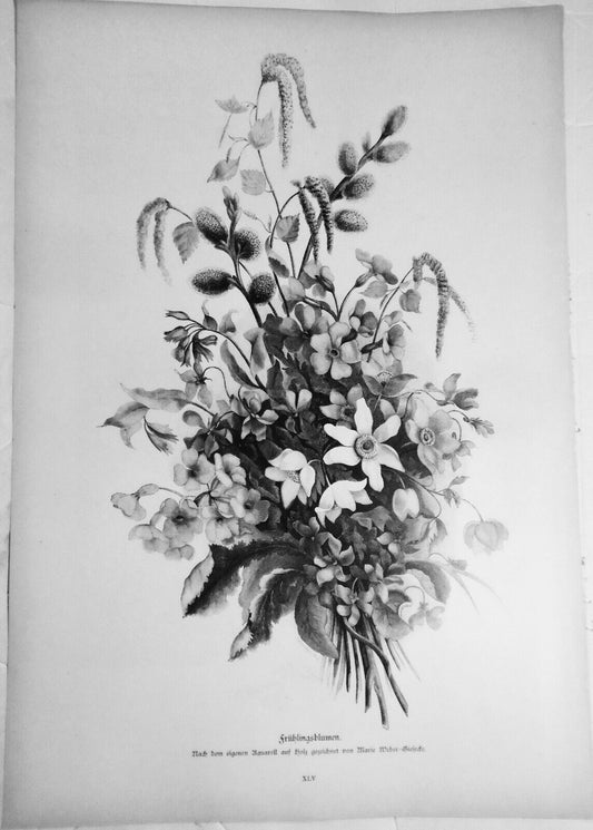 Frühlingsblumen, by Marie Weber Giesecte  --  1882