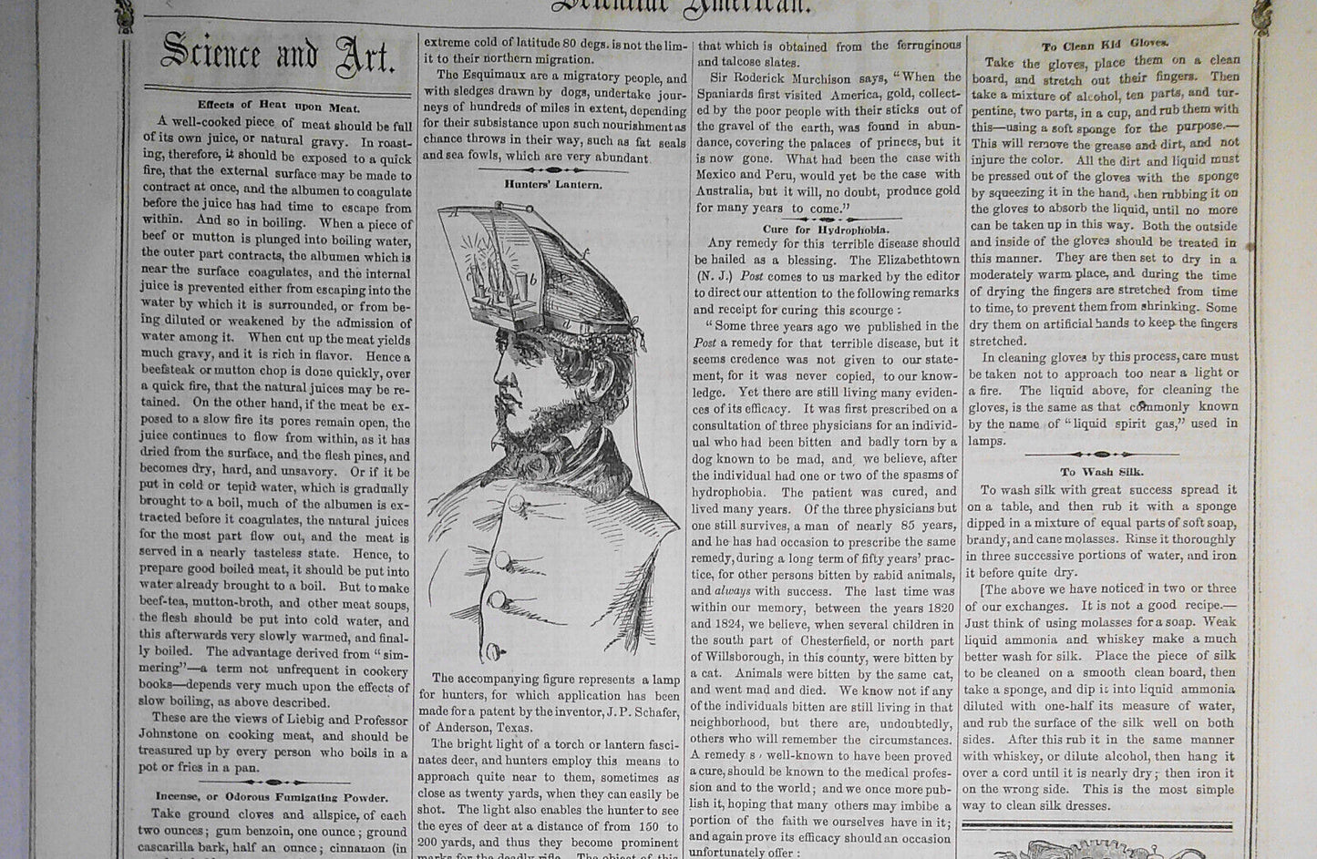Scientific American January 19, 1856. Robert Fulton; California; Horse flesh etc