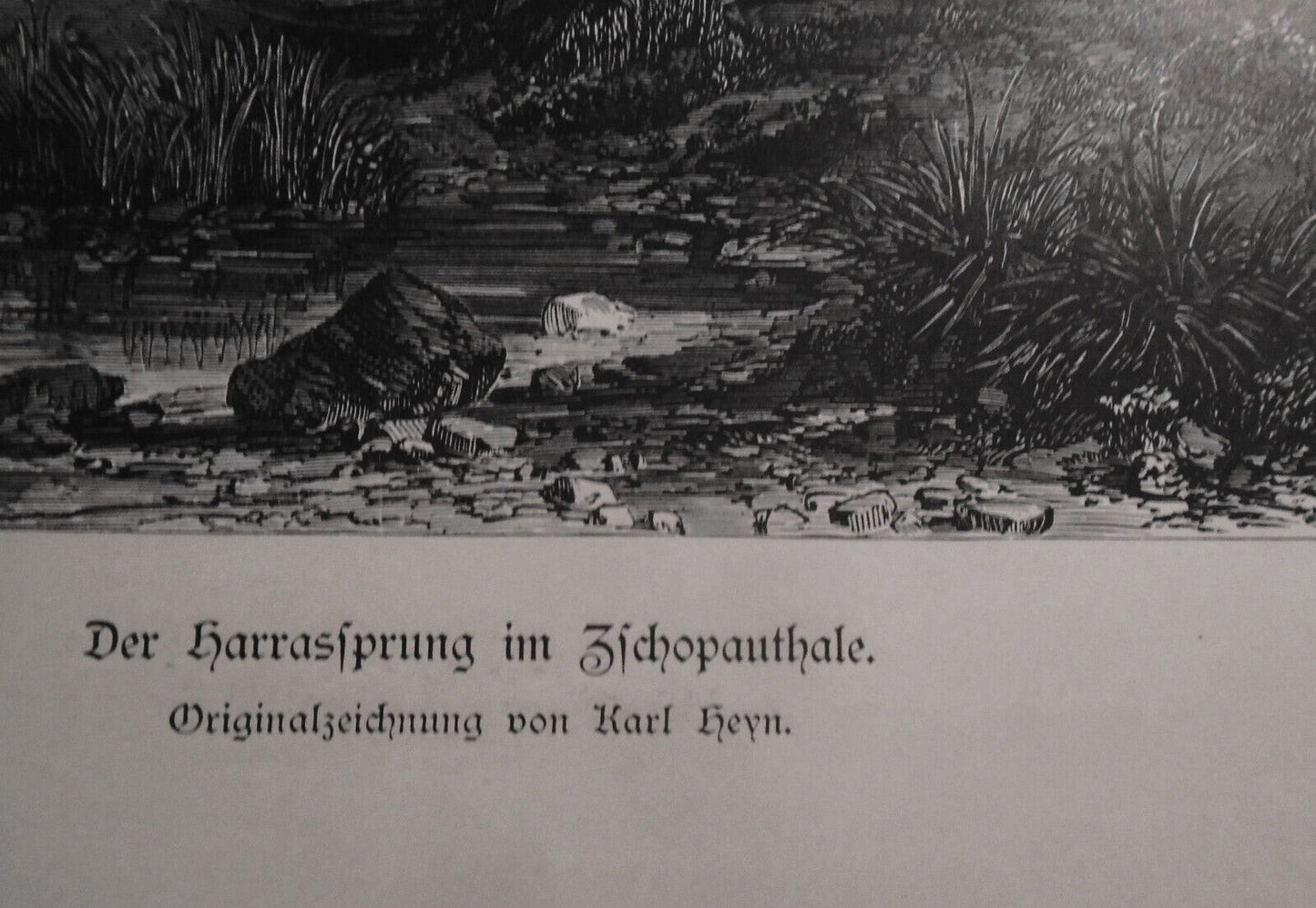 Der Harrassprung im Zschopauthale, by Karl Heyn  --  1884 Original antique print