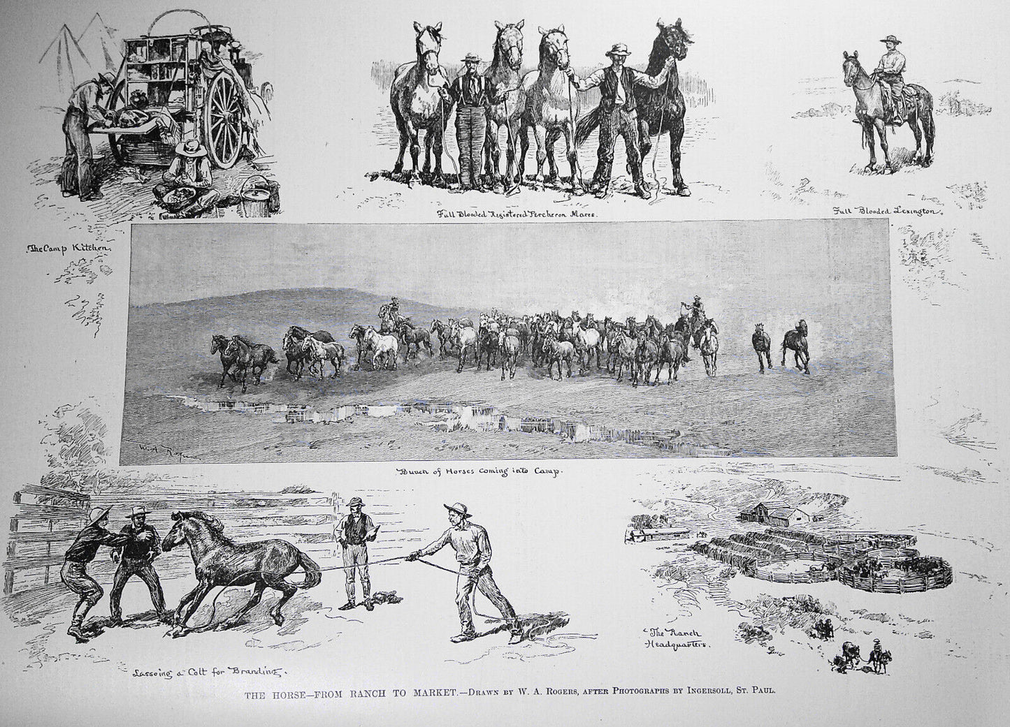 Harper's Weekly May 9, 1891. The Horse from ranch to market; Carnegie Hall; etc
