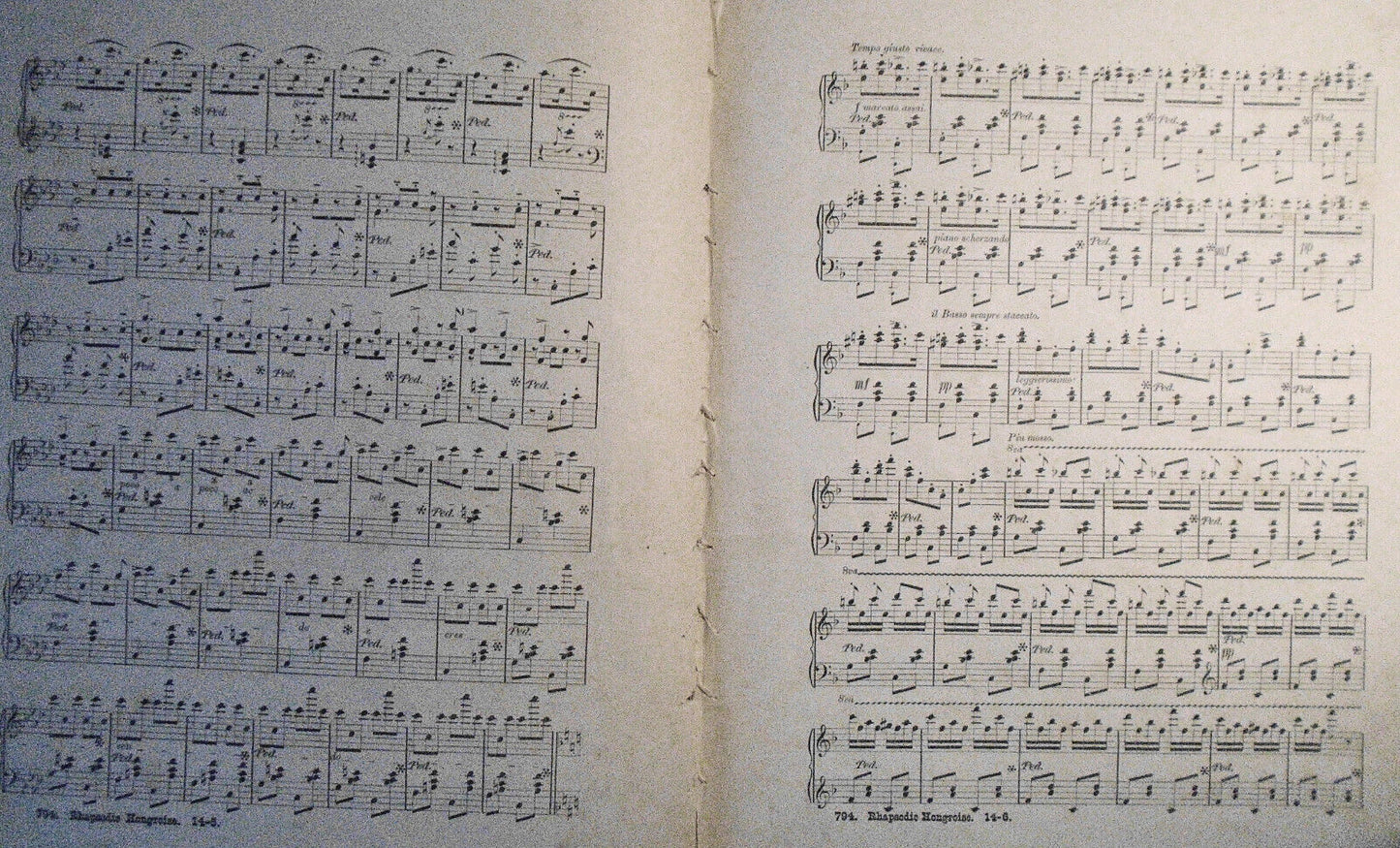 Rhapsodie Hongroise No. 2, by Franz Liszt. 1860.