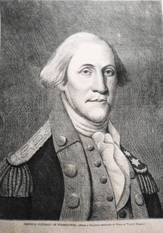 Original Portrait of Washington. Harper's Weekly, February 27,  1869.