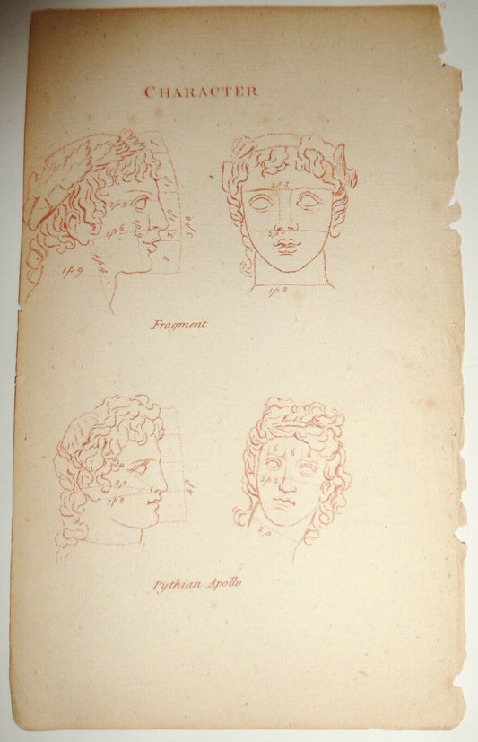 1786 - Character: Fragment, Pythian Apollo - Plate from The Artist's Repository