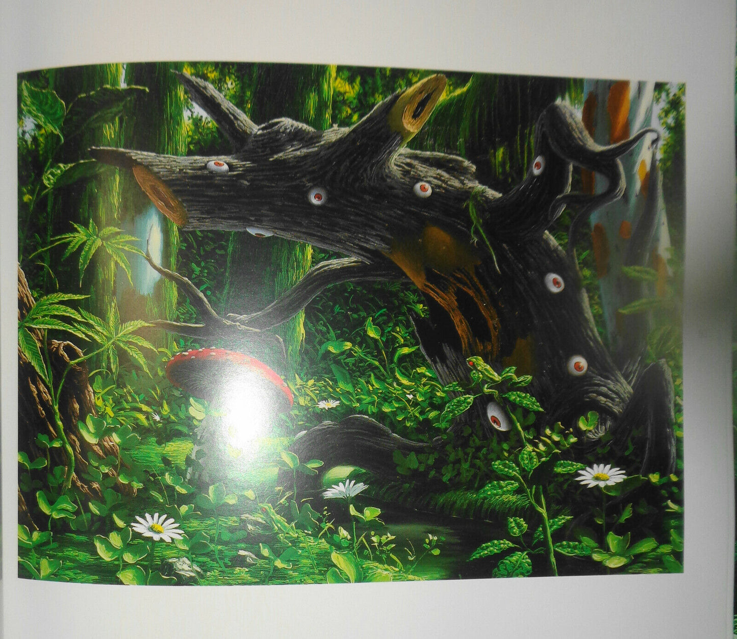 Fulvio Di Piazza: CLOROFILLA. Mantua, Bonelli Arte Contemporanea, 2006 Hardcover