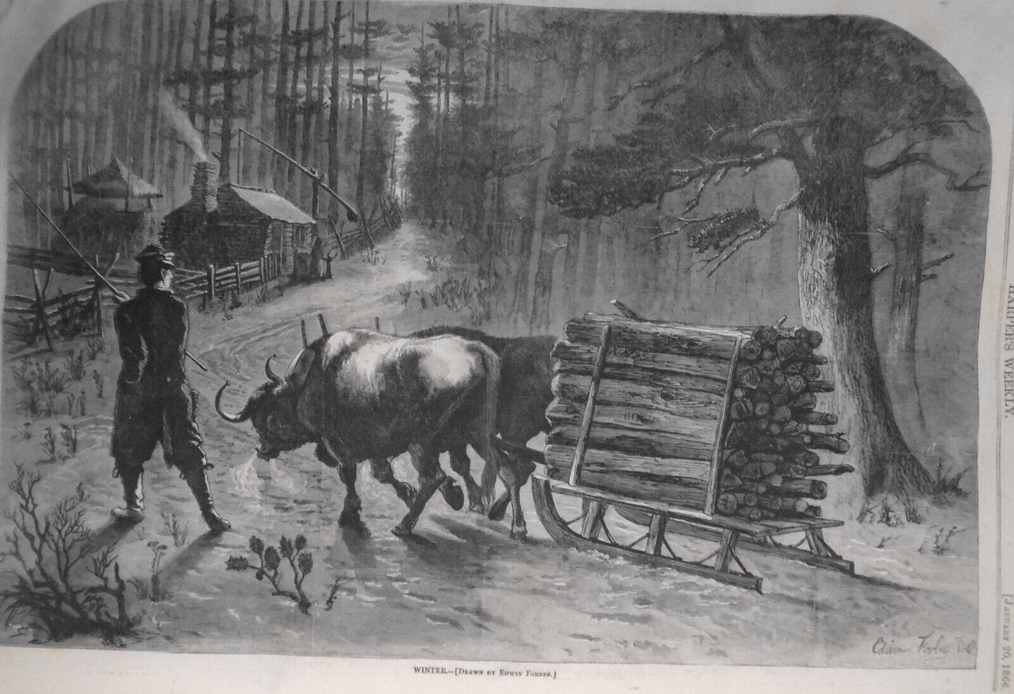 Harper's Weekly January 20, 1866 - American Beauty; Forger Ketchum; etc ORIGINAL