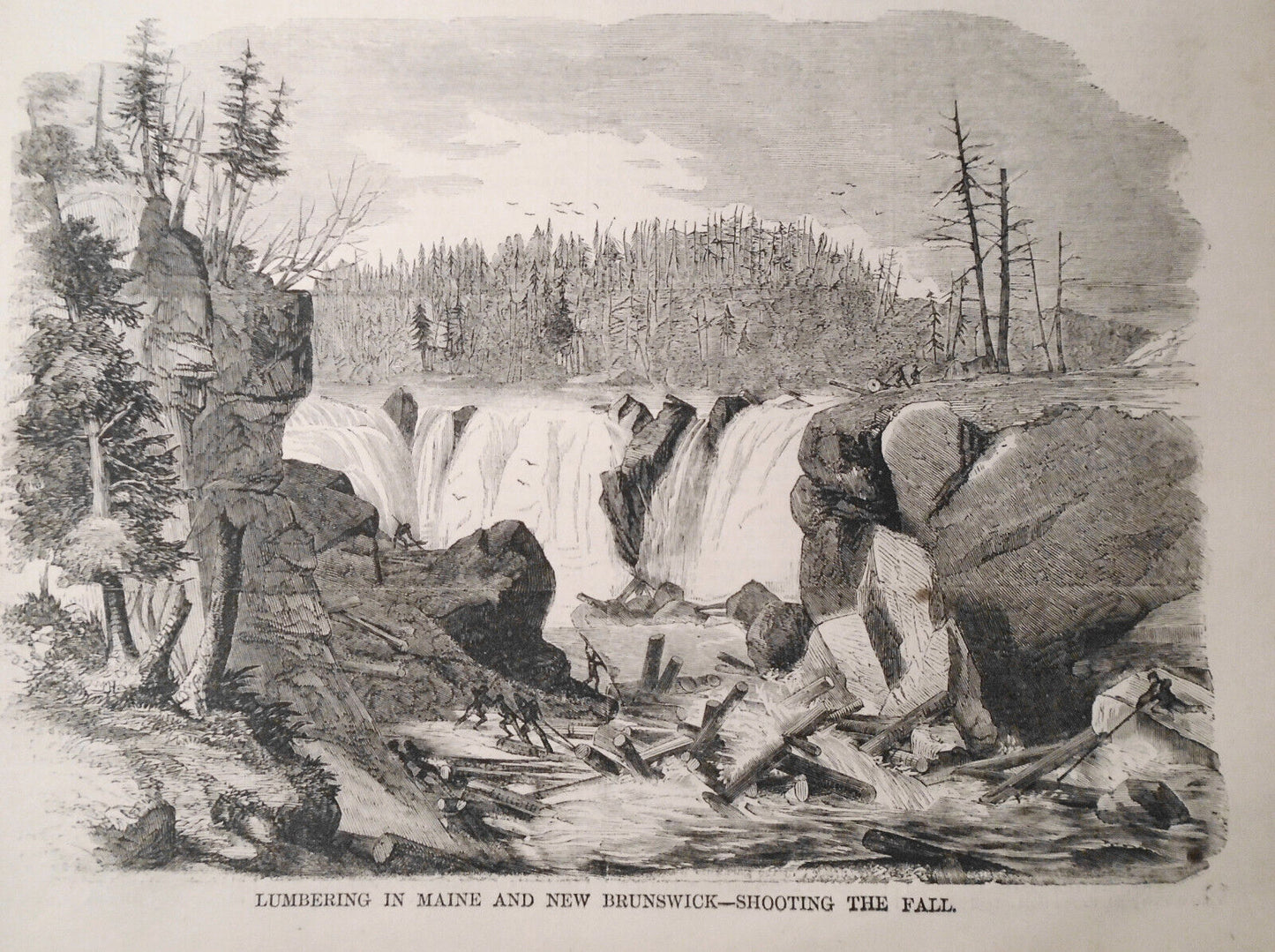 Lumbering in Maine, and New Brunswick - Harper's Weekly 1858 - 3 prints & story
