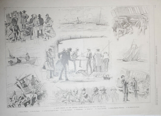 A Day's Fishing On The Cholera Banks, by A B Frost. Harper's Weekly Nov. 1, 1884