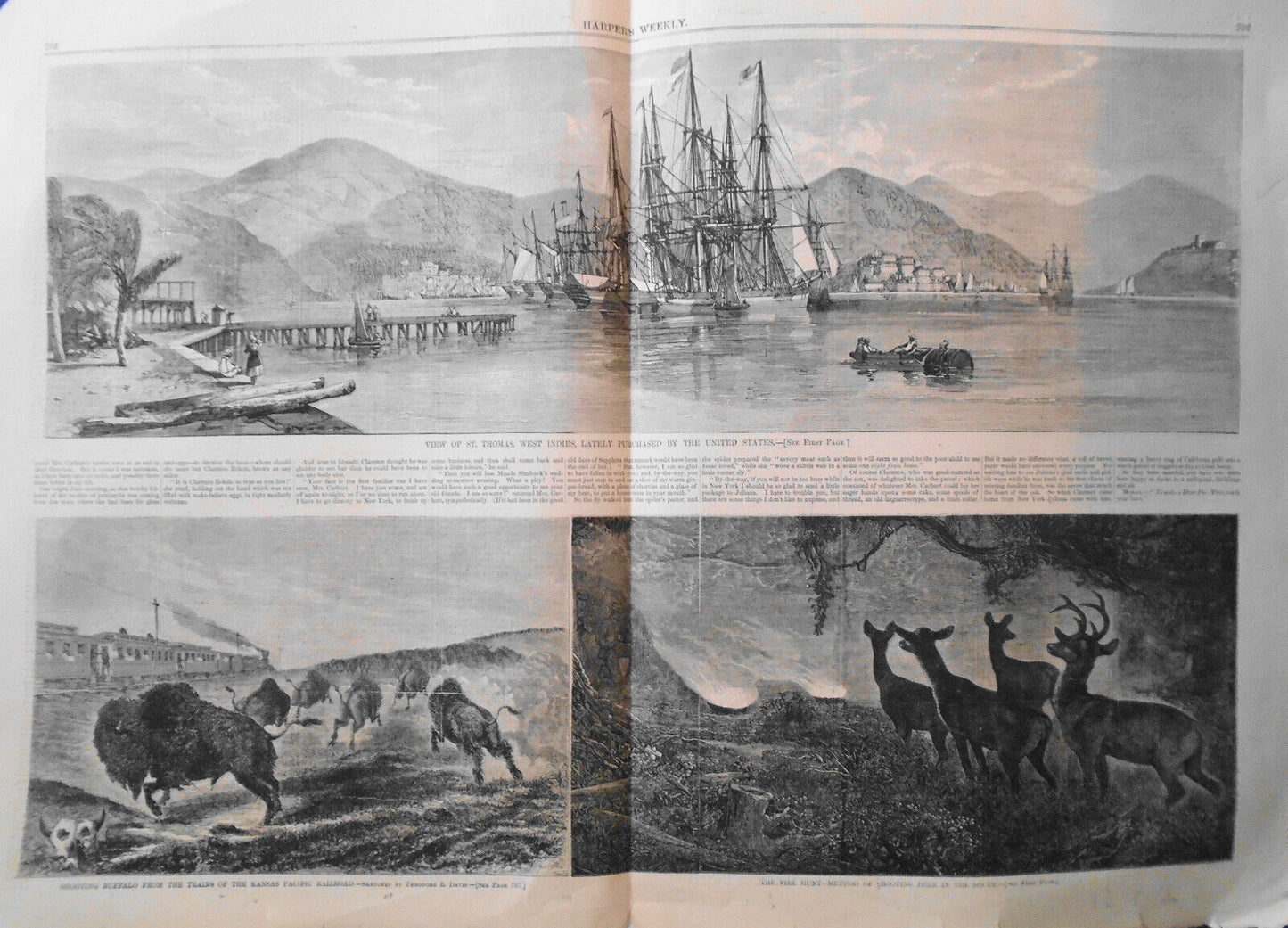 St. Thomas, West Indies / Shooting Buffalo & Deer - Harper's Weekly Dec 14 1867