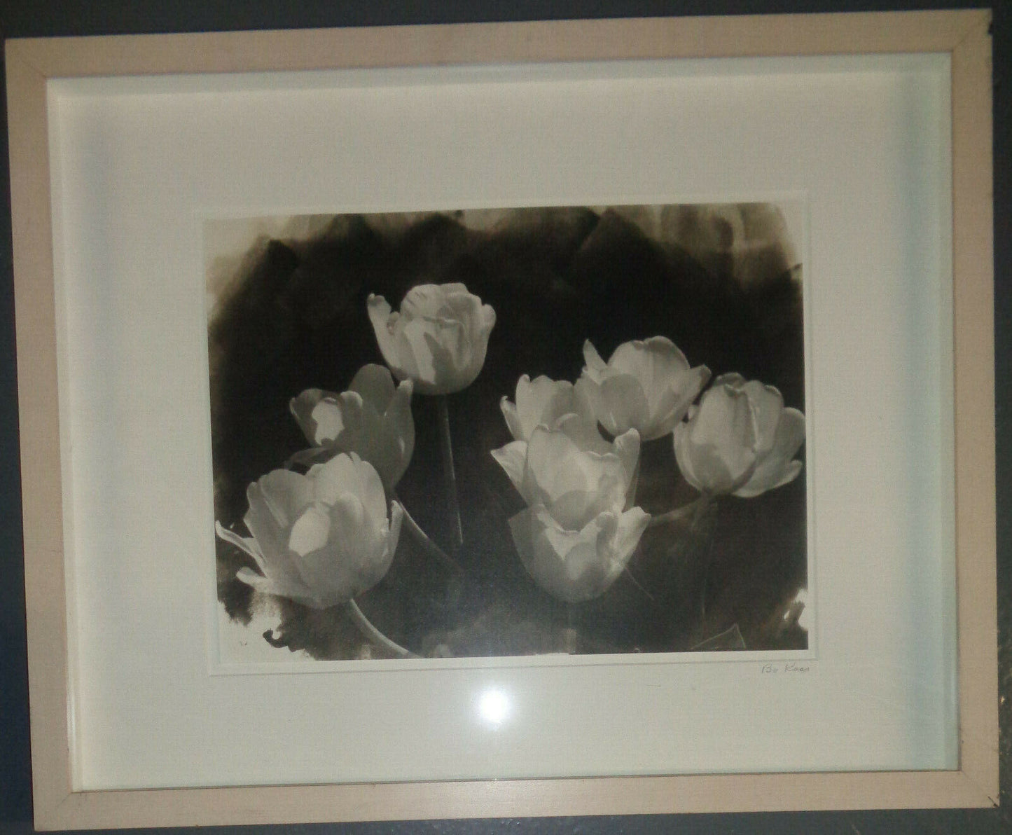 Bo Kass : White Tulips - Signed Silver gelatin photograph; framed