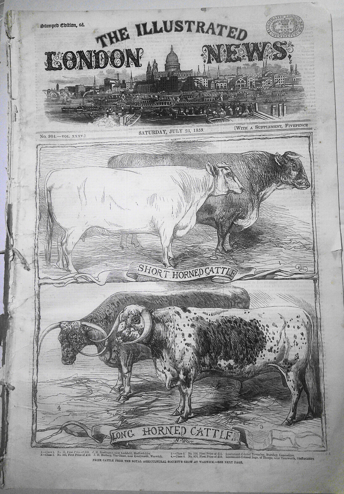 Illustrated London News July 23, 1859. Notre Dame Cathedral Restored. Cattle etc