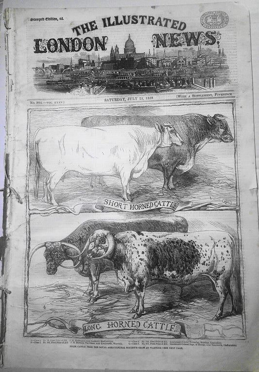 Illustrated London News July 23, 1859. Notre Dame Cathedral Restored. Cattle etc