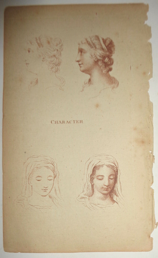 1786 - "Character" (Female) - Plate from The Artist's Repository