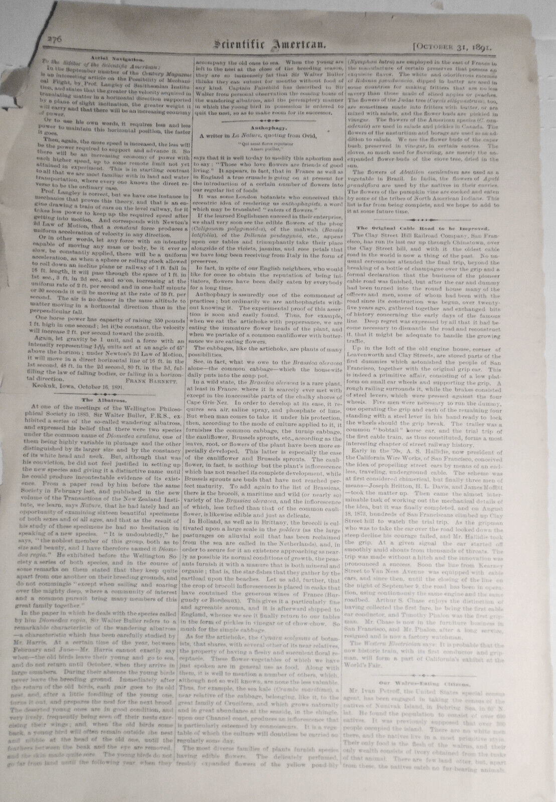 A Seat Attachment For Bicycles / Rastetter & Siebold's Bicycle Seat - 1891