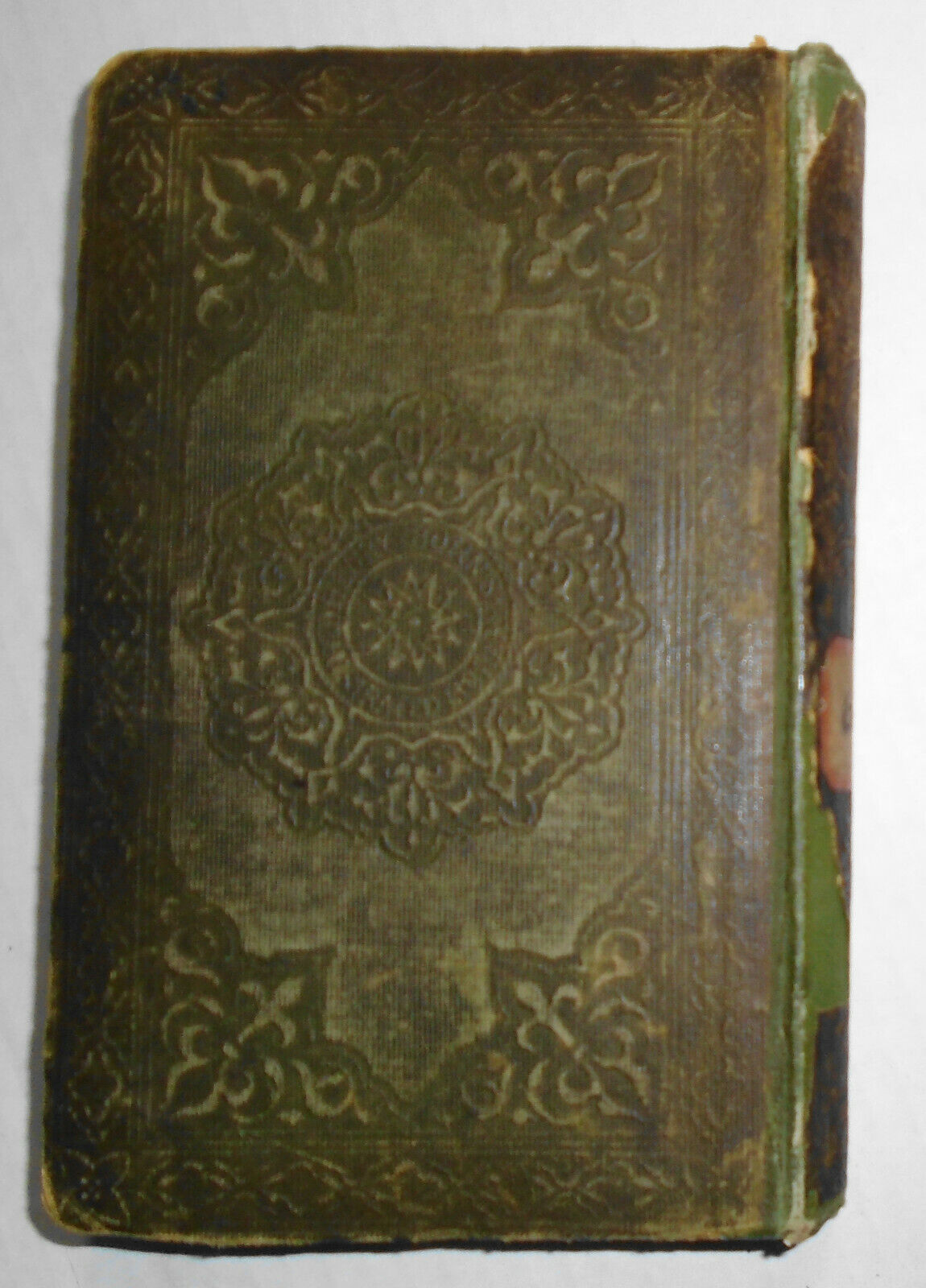 Captain Marryat : The settlers in Canada : written for young people - 1860