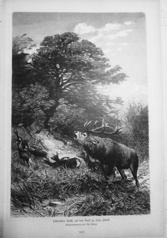 1882 Schreiender Hirsch, mit dem Rudel zu Holze ziehend - Chr. Kroner. Original