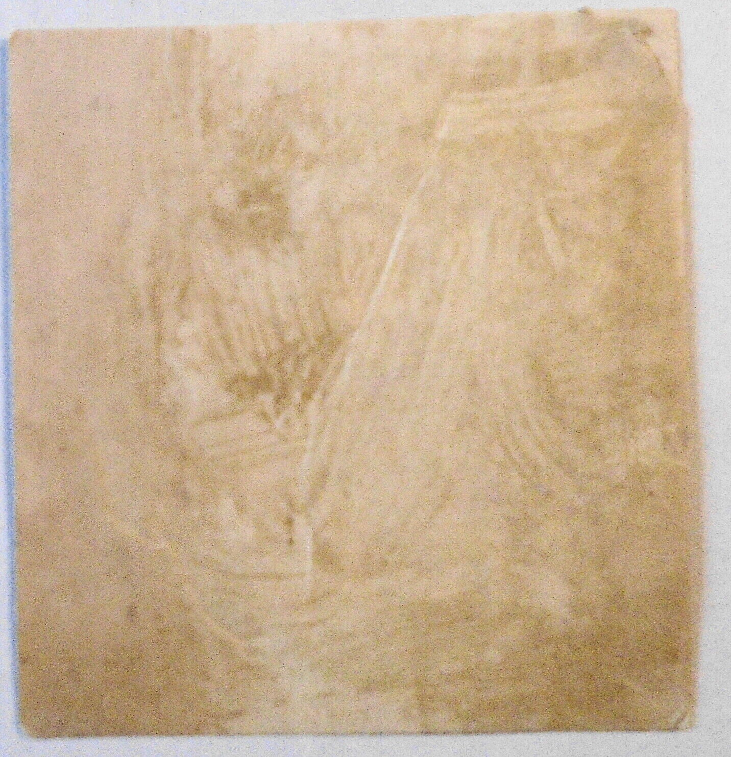 Rare Ex-bibliotheca latin Bookplate 1700s