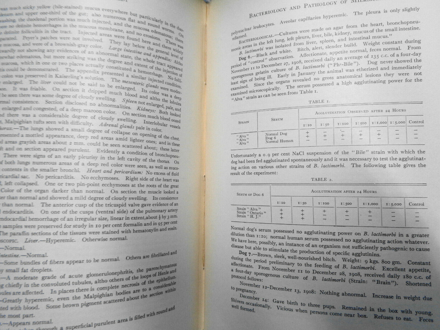 The Journal of Infectious Diseases. Volume 6, 1909. Original.