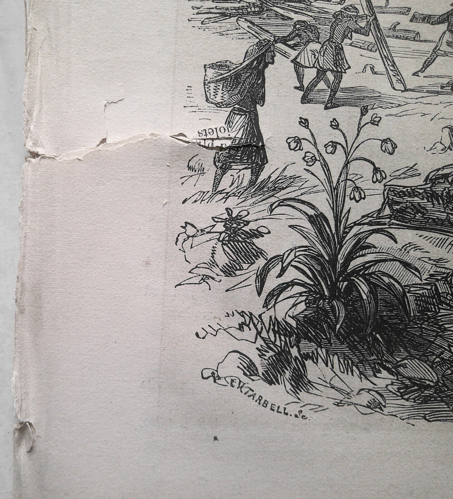 Ballou's Pictorial May 2, 1857. Digger Indians of CA; Oriskany & King's Mountain