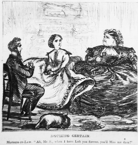 "Nothing Certain",  original cartoon in Harper's Weekly, November 18, 1865